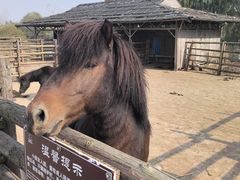 -池杉湖湿地公园