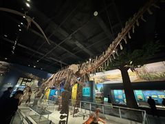 -国家自然博物馆