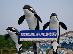 -石家庄极地海洋世界