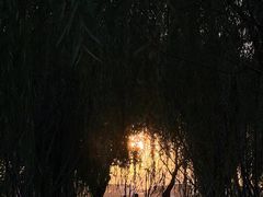 -羊山湖公园