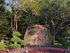 -野狸岛