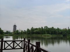-洋湖国家湿地公园