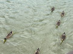 -南京汤山紫清湖生态旅游温泉度假区
