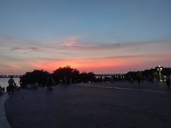 -宝安西湾红树林湿地公园