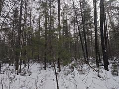 -峡谷浮石林景区