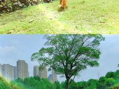 -常州古运河南大街文化旅游区-人民公园