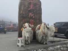 -折多山