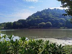 -绍兴镜湖国家城市湿地公园