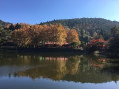-庐山风景区花径公园