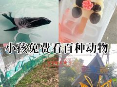 -成都动物园