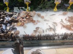 -德得轩烤涮一体自助餐厅(王府井店)