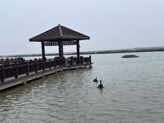 -南大港湿地风景区