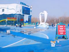 -哈尔滨极地公园