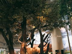 -中国湿地博物馆