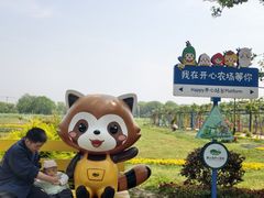 -苏州太湖西山岛开心农场