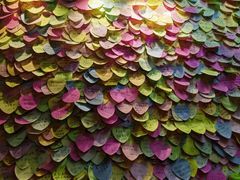 -阿信厚吐司(曾厝垵店)