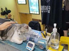 -谜盒子奇幻密室(南屏店)