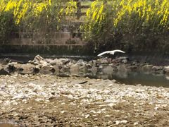 -府河摄影公园