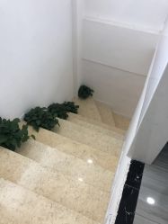 点击看大图 -蕾特恩专业祛痘·皮肤管理