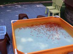 -小风车金桥丽都幼儿园(金桥店)