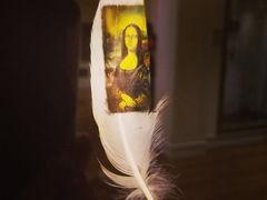 -信不信由你博物馆