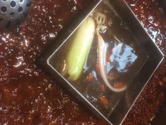 -红鼎坊·老成都火锅(新南门店)