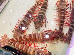 -强记海鲜·大排档(蛇口新街店)