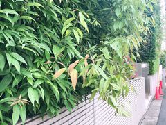 -涩谷区