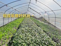 -小乡小镇·传承桐庐土菜·老板亲自烧的菜