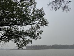 -东湖落雁景区