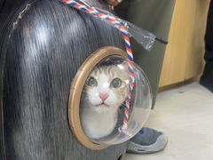 -美联众合动物医院·24h京西诊疗中心