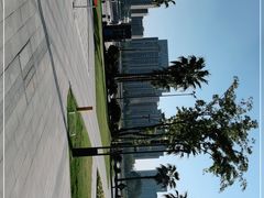 -金沙湖公园
