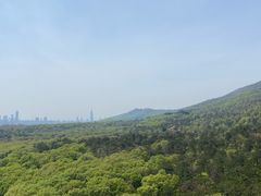 -灵谷景区