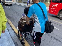 -长洲岛