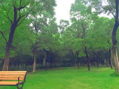 -洛阳市隋唐城遗址植物园