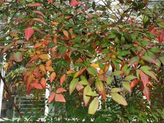 -中国农科院国家农业科技展示园