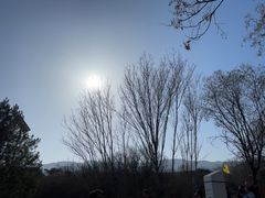 -秦始皇帝陵博物院-丽山园