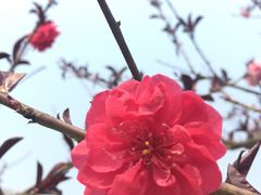 -沐仙湖湿地公园
