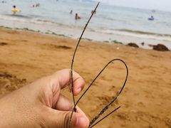 -青岛第三海水浴场