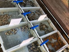 -蓝湾碧波·老字号·疍家非遗海上餐厅