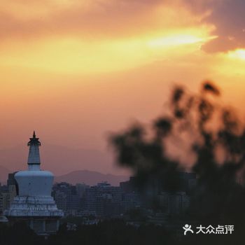 本来是想去景山拍牡丹的，没想到花期已经过去了