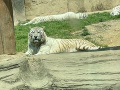 -杭州野生动物世界