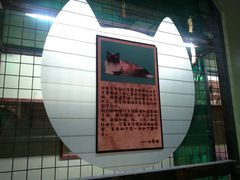 -猫咪博物馆(顶澳仔猫街店)
