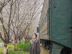 -新天地活力PARK