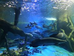 -多彩贵州城极地海洋世界