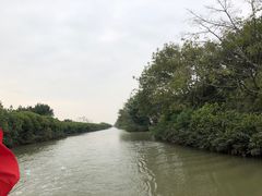 -大湾区中央湿地公园