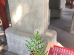 -北京国子监胡同