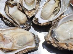 -蚝堡海鲜·威海菜·海肠捞饭·烧烤·亚洲吃蚝公司(幸福门店)