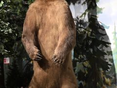 -陕西自然博物馆