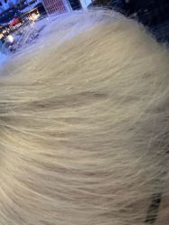 -FranckProvost梵珀·巴黎     法国美发沙龙